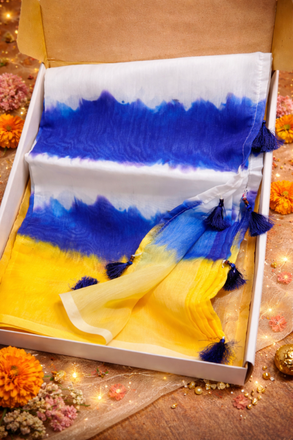 Sapphire Elegance Saree Combo